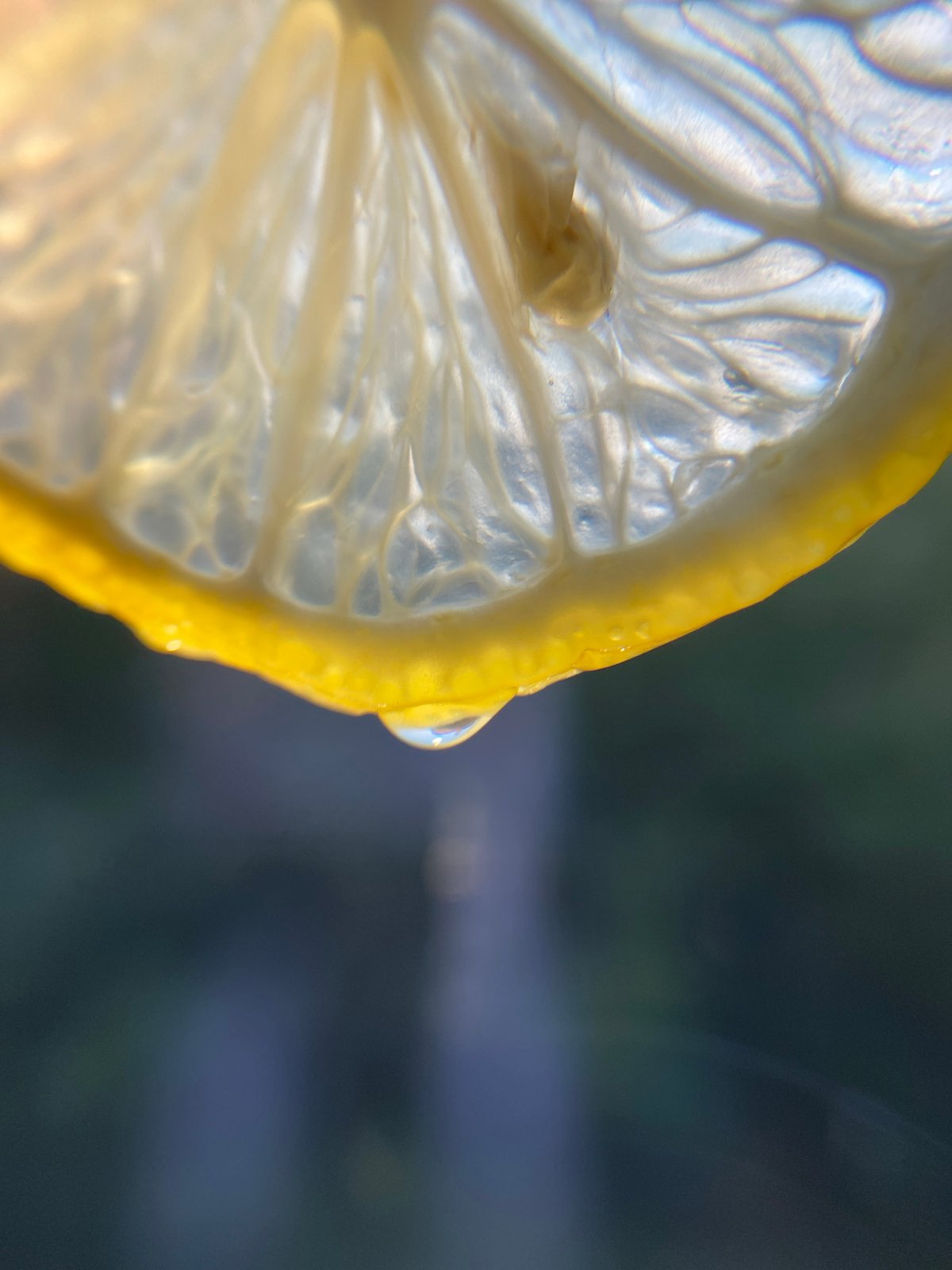 Macro details of everyday objects, flames, and citrus