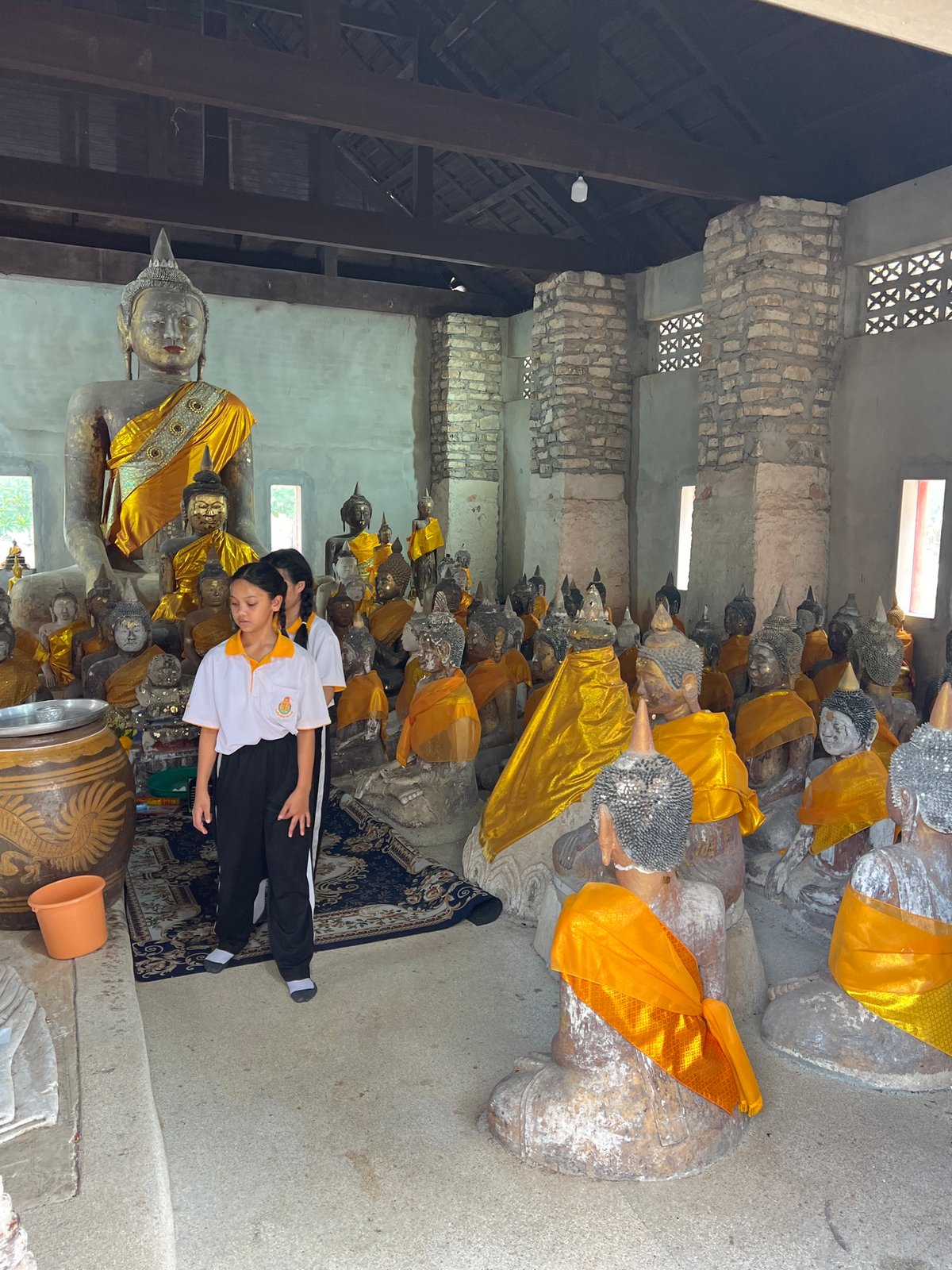 Ancient Buddha statue collection documented at Baan Harn temple
