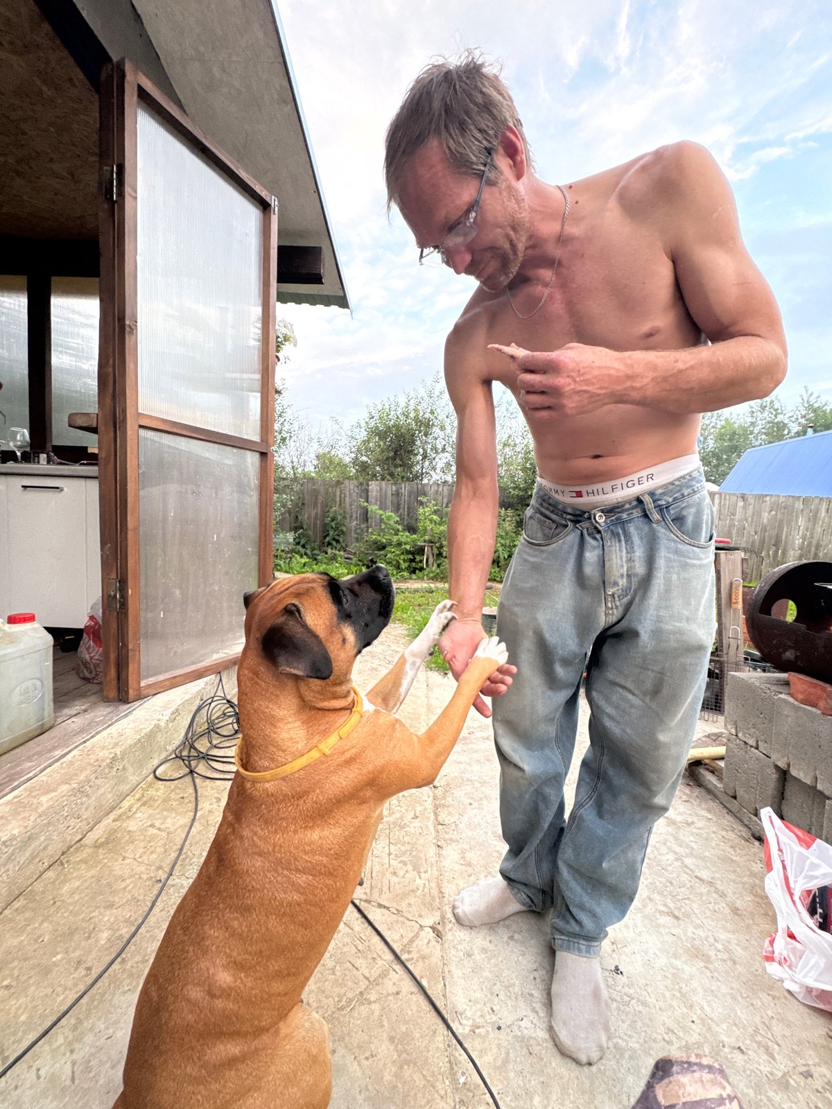 Dog portraits and evening skies in Chaikovsky, Russia