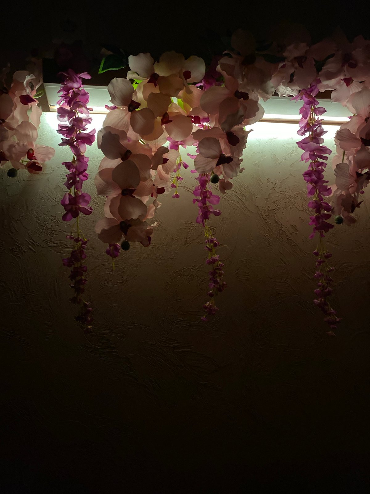 Southeast Asian-styled interior with cats, Buddhas, and décor