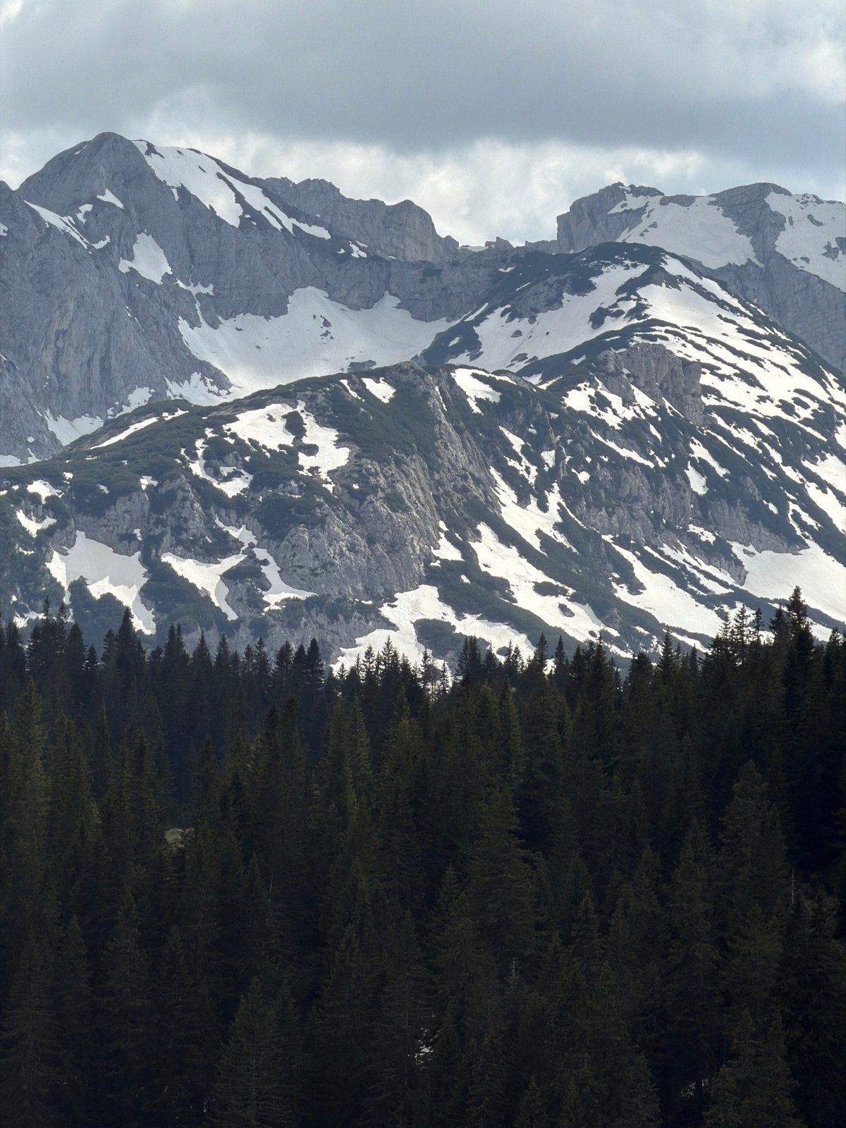 Snow-capped mountains and forests documented in Bosača, Montenegro