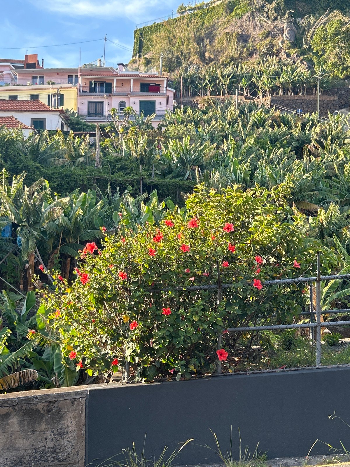 Evening scenes captured in Câmara de Lobos, Portugal