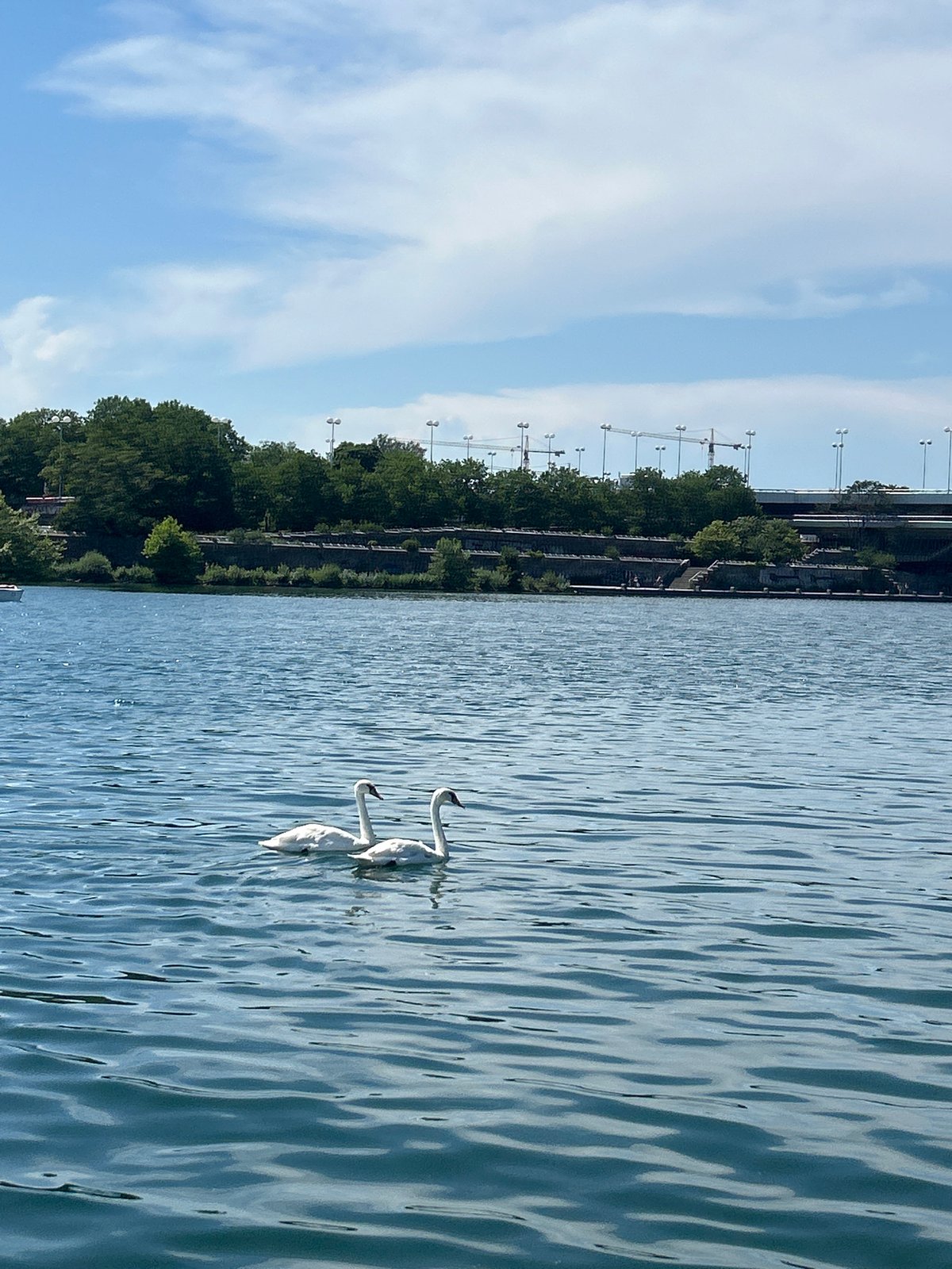Sunny afternoon on the Danube, Donau City skyline in the backdrop