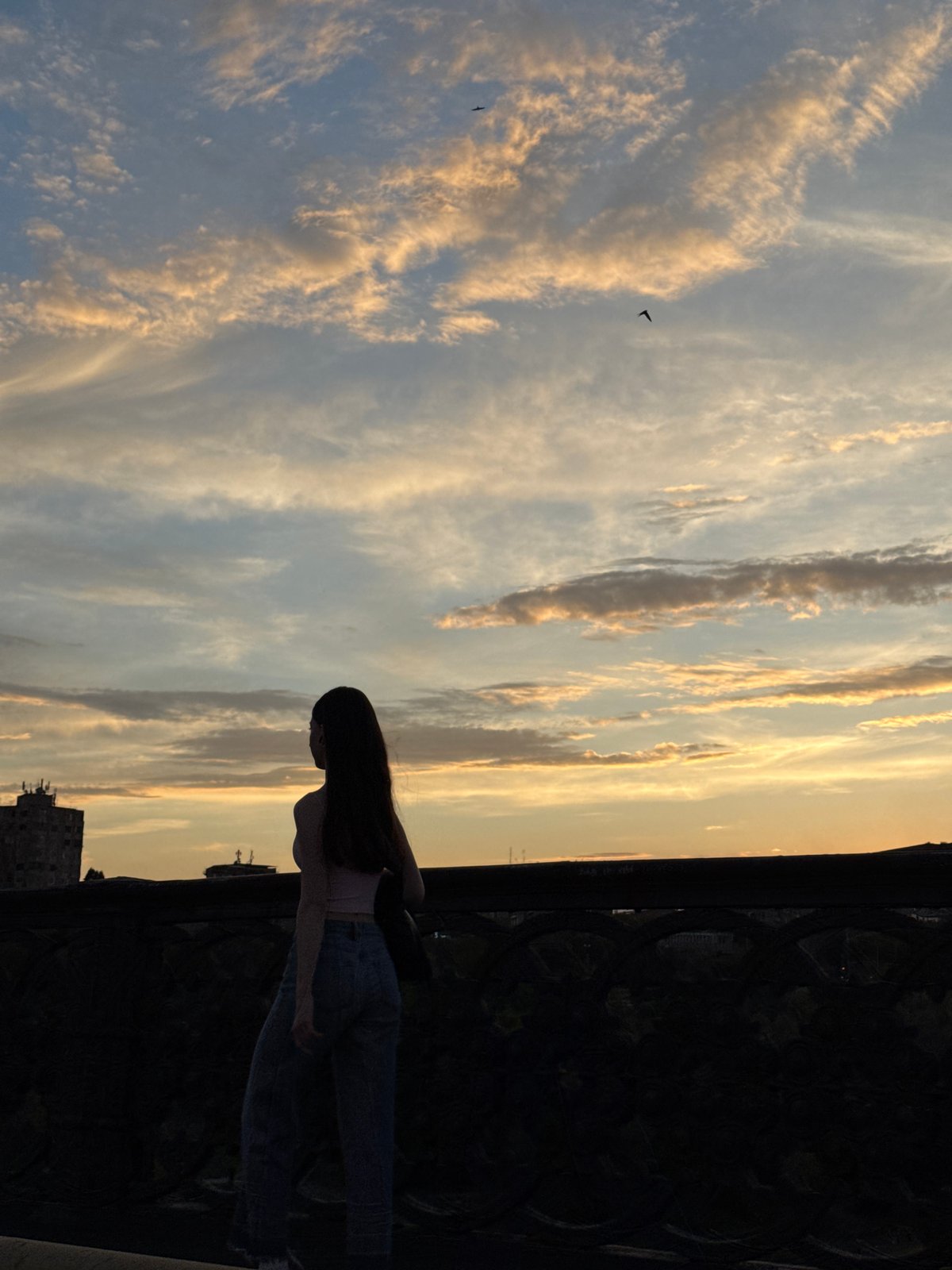 Dramatic sunset captured over Yerevan's Victory Bridge draws observers