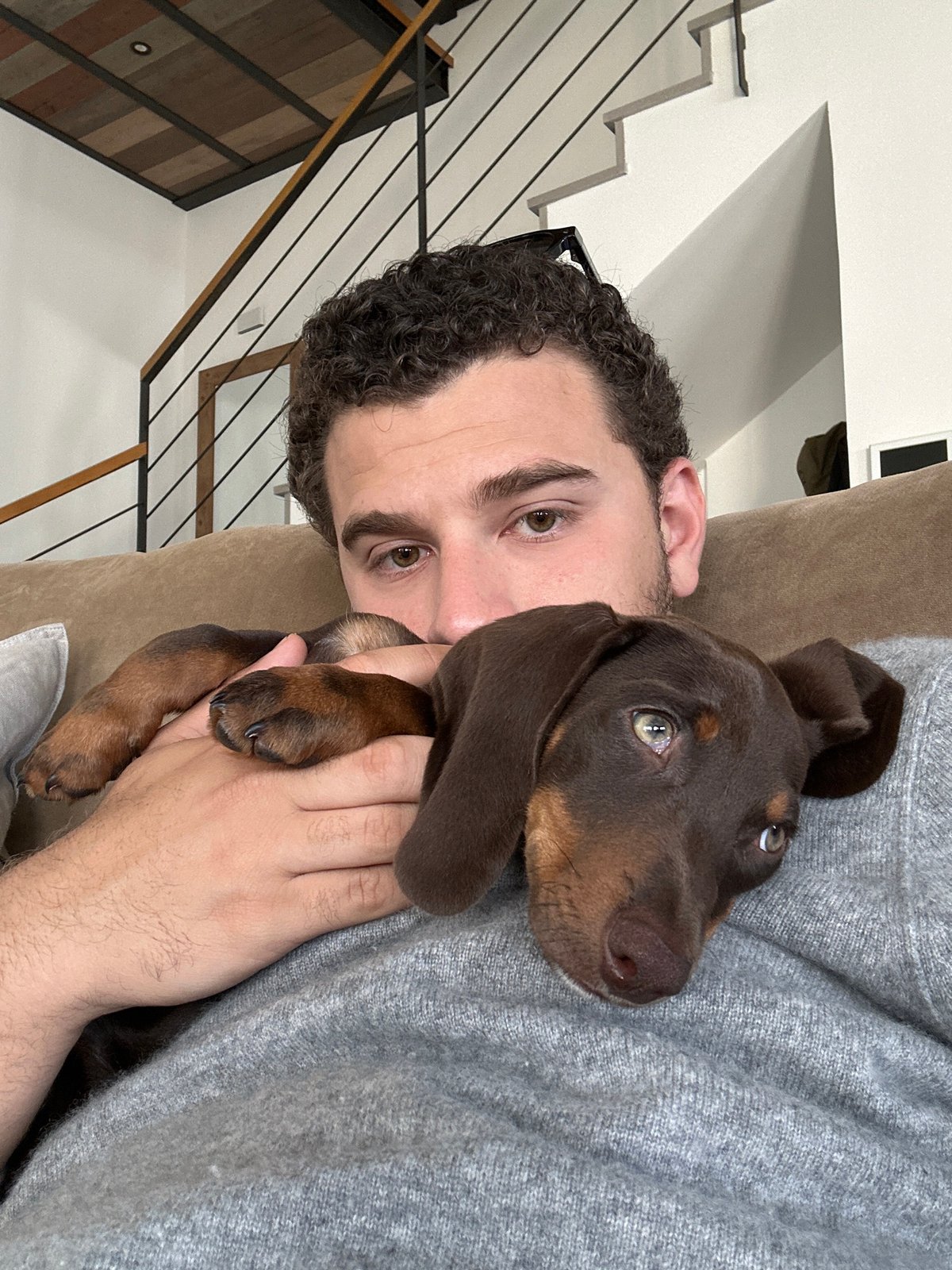 Man holds dachshund puppy in Raanana, Israel