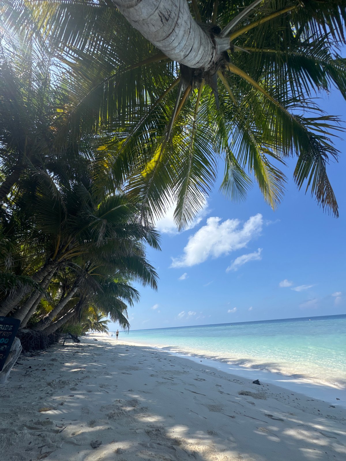 Tropical beach scenes documented on Ukulhas Island, Maldives