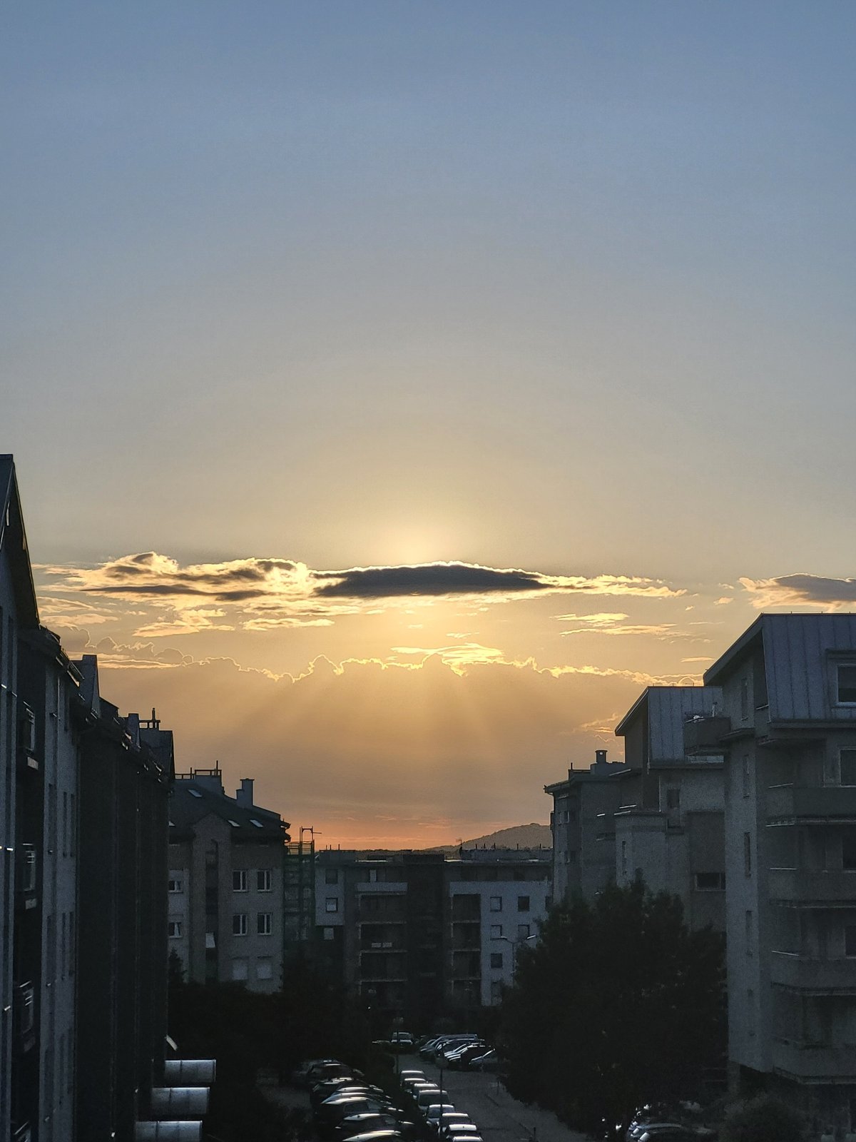 Urban sunset and grey cat portraits captured over 81 minutes