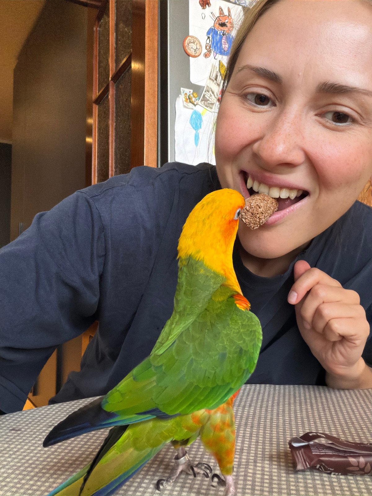 Parrot antics and metro commutes in Khimki on a June morning