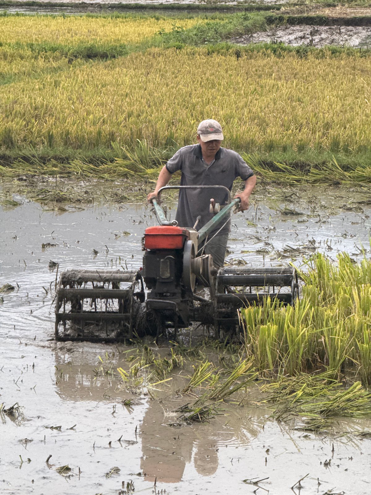 Rural farming activities documented in Chiềng Châu, Vietnam