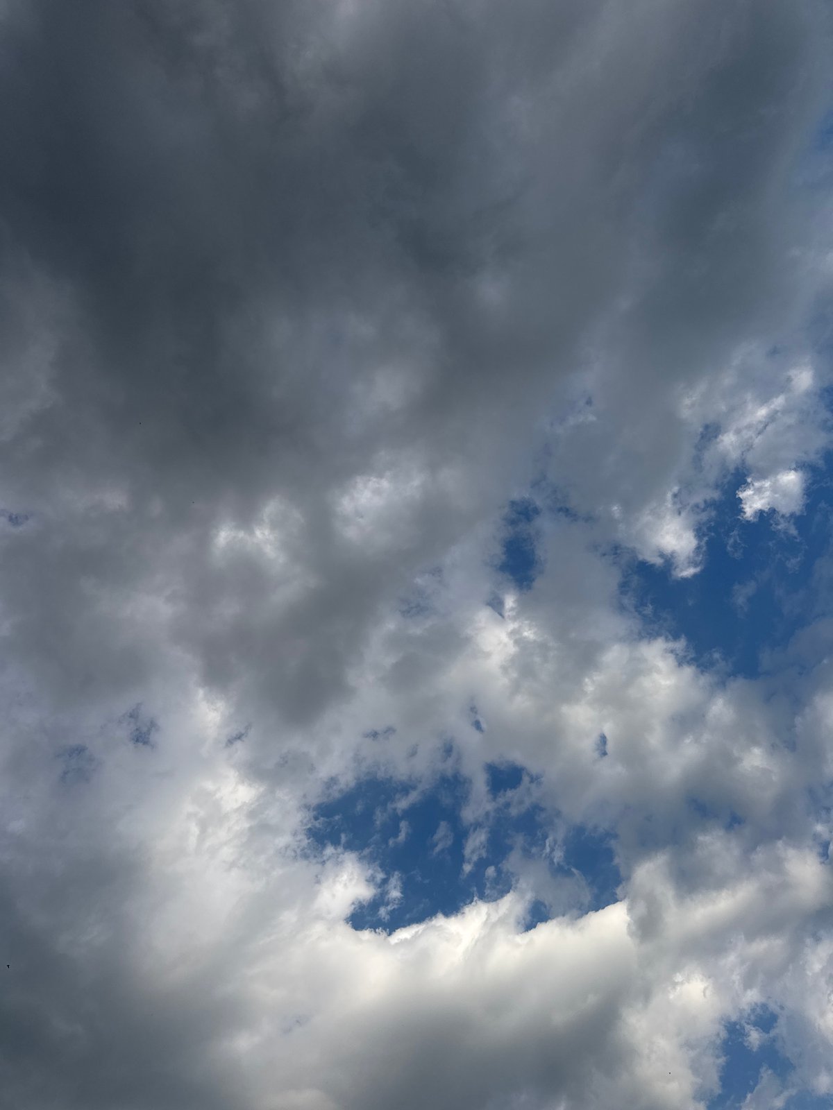 Routine travel and nature observations captured over three hours