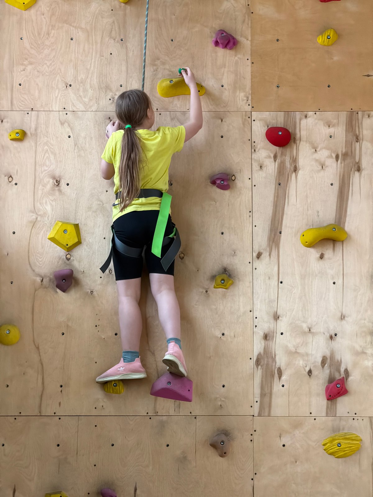 Young climber scales indoor wall in Izhevsk