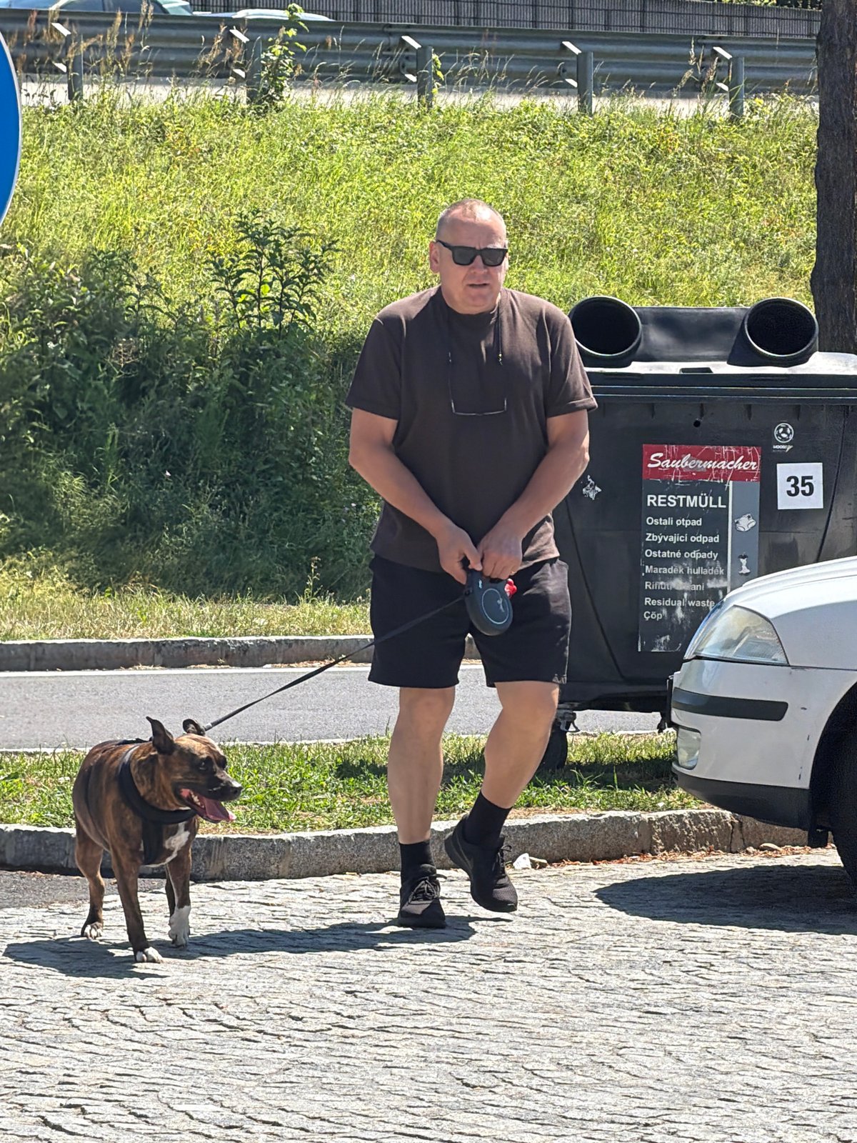 Dog walk and parked Skoda on cobblestones in Gralla
