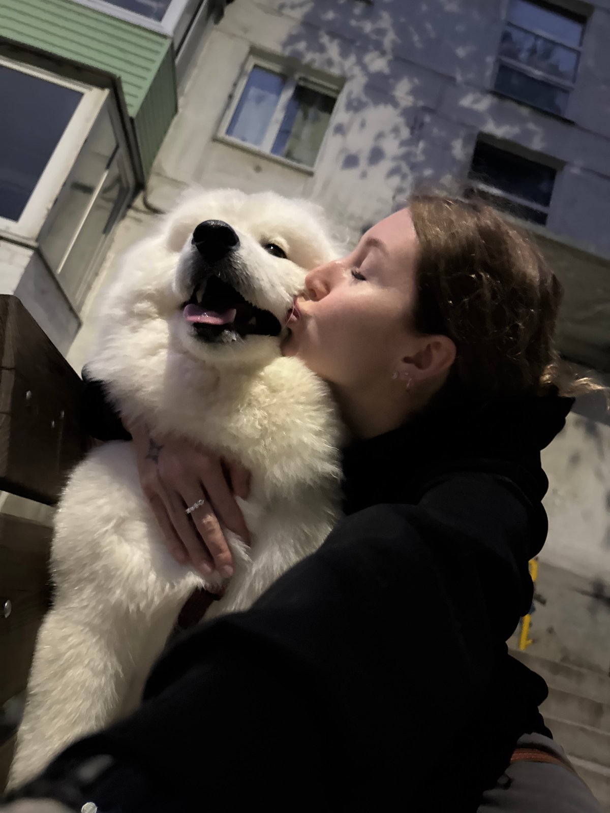 Evening in Chaikovsky with a Samoyed by the river
