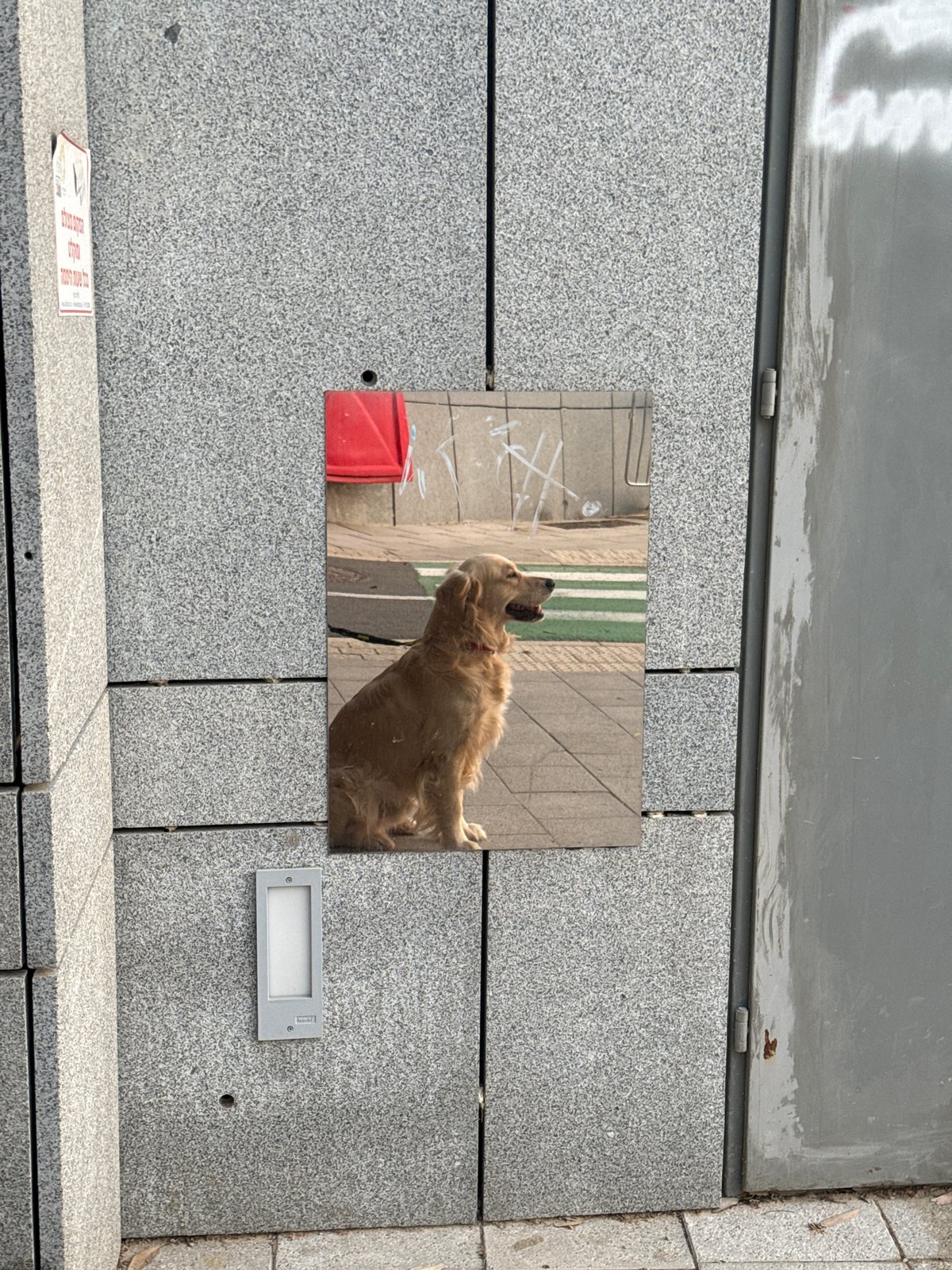 Street reflection captured on Tel Aviv building wall