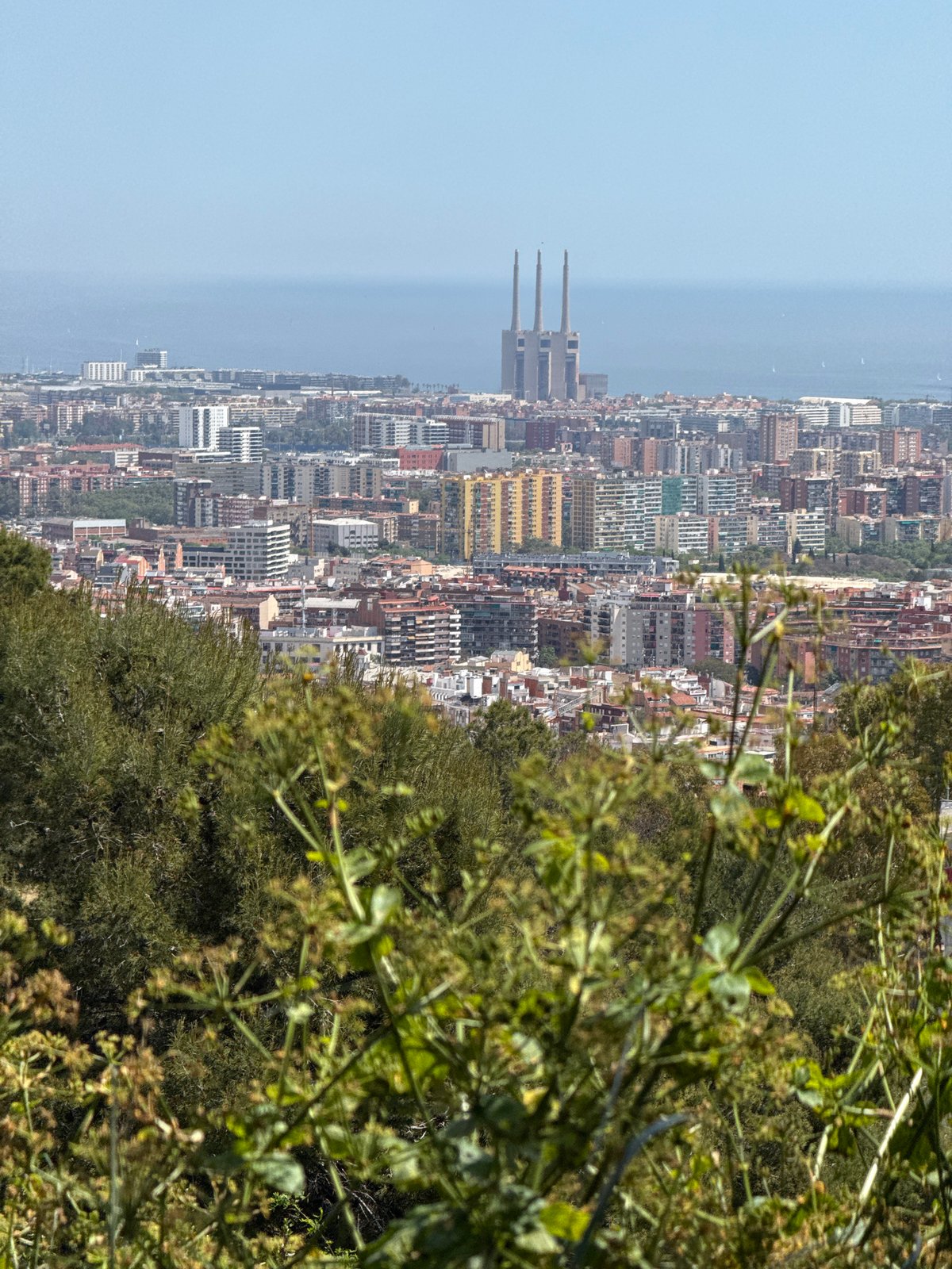 Morning park visit captures Barcelona's nature and skyline views