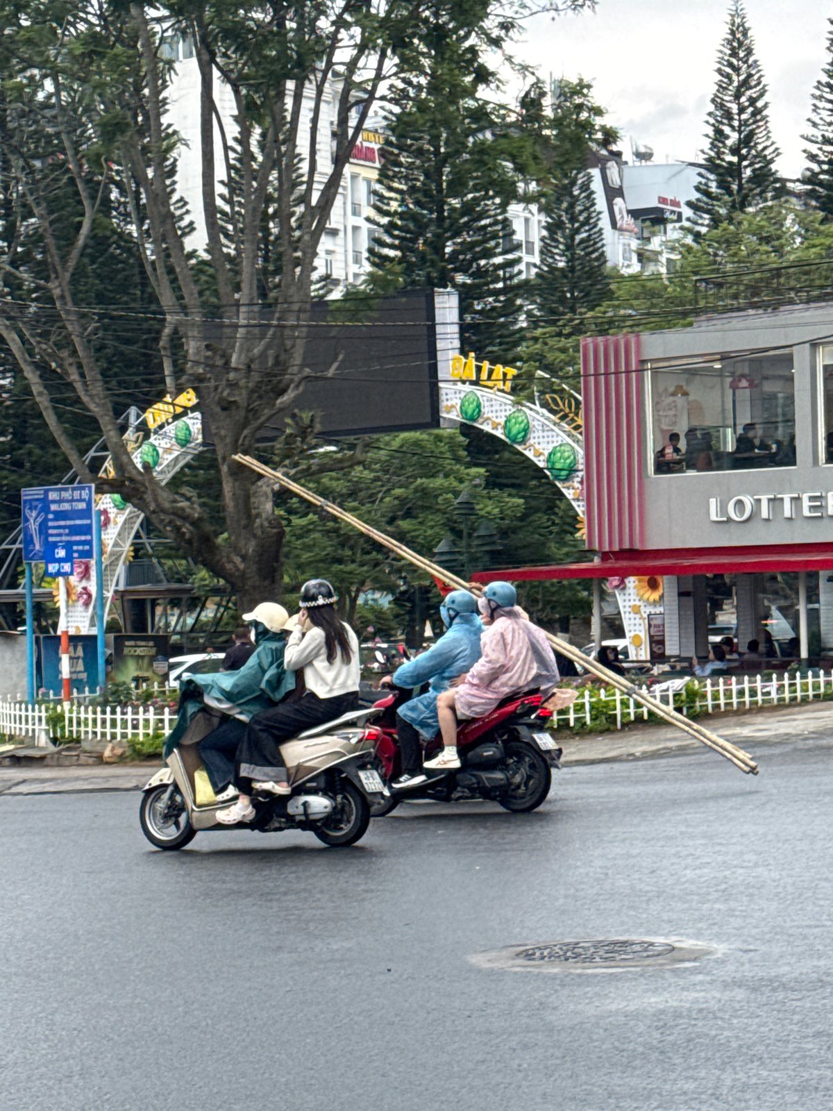 Morning snapshots capture everyday life across Da Lat, Vietnam