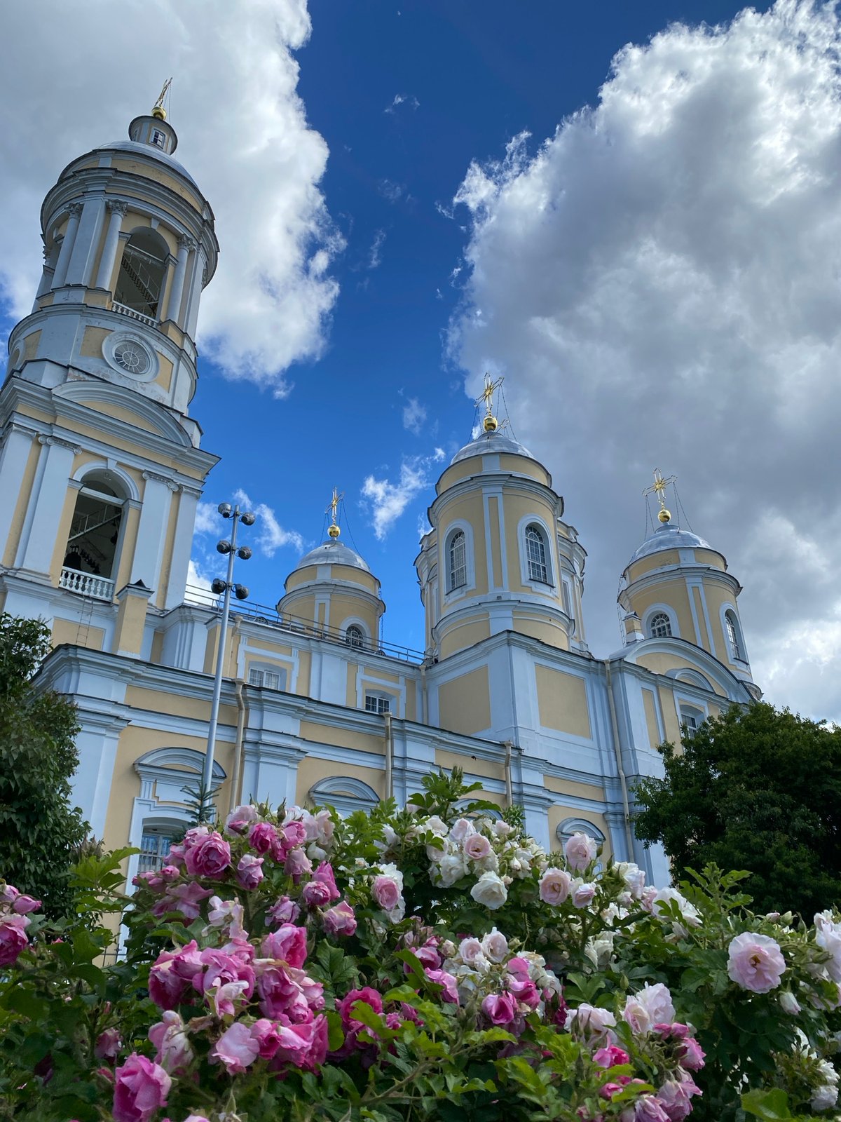 Morning at Smolny Cathedral, roses in bloom