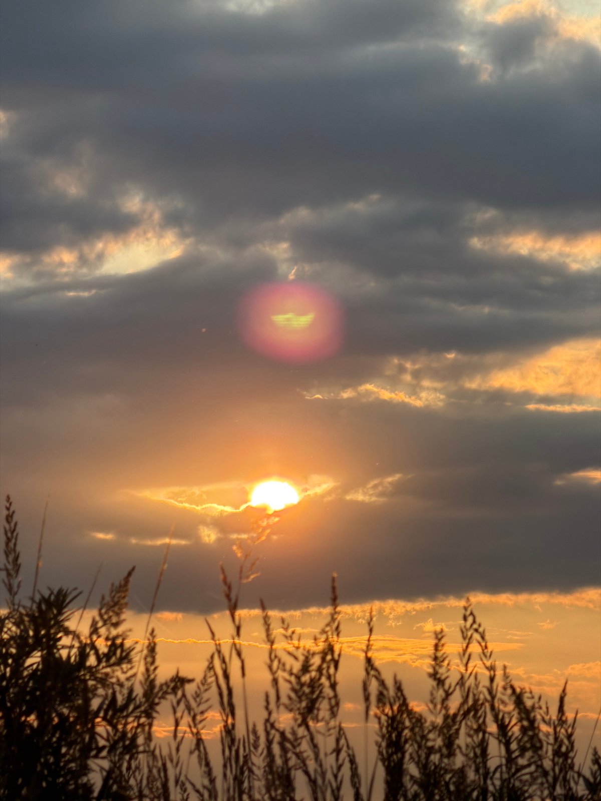 Sunset over reeds and water near Tarasovo, Russia