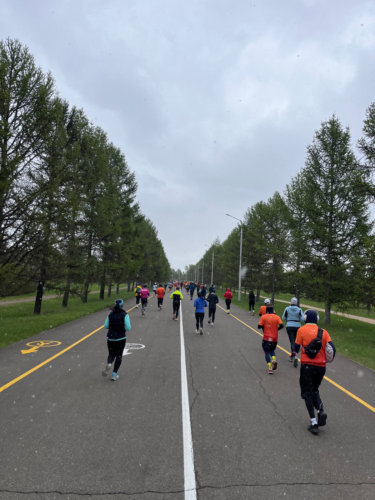 Rollerskiers exercise on marked park path in Krasnoyarsk