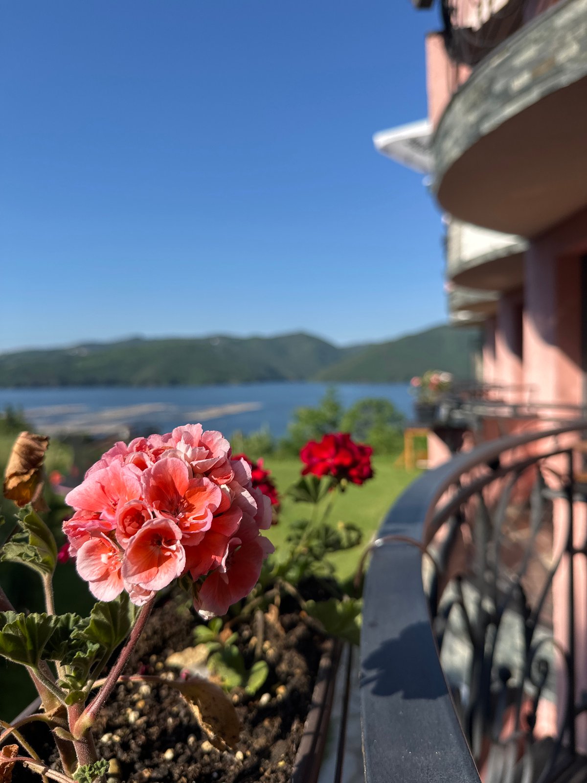 Morning flower photography session captured at Bulgarian reservoir balcony