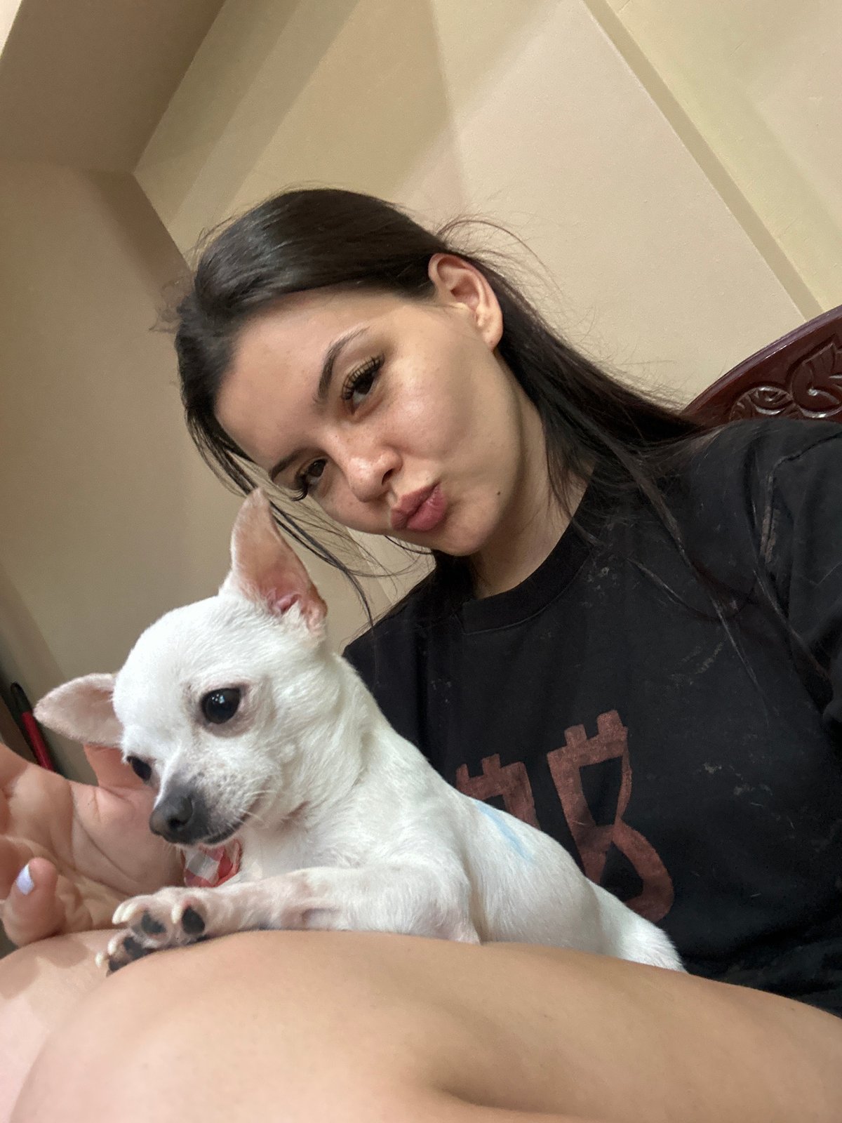 Selfie series with a white chihuahua in Sliven, Bulgaria