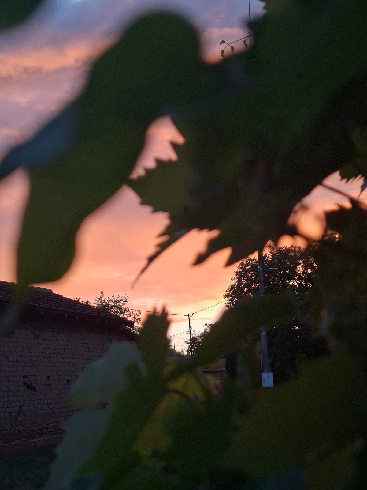 Evening moments captured in Bulgarian village include sunsets, flowers, motivational quotes