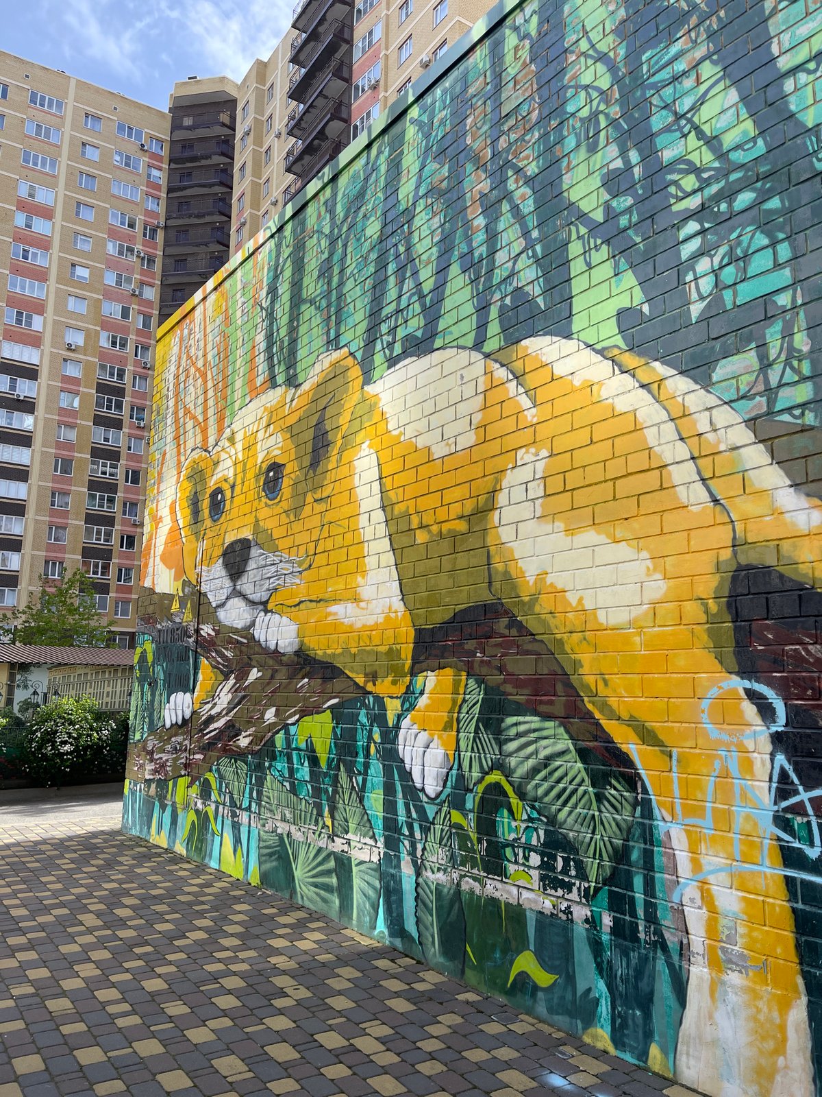 Animal murals featuring lion, elephant, panda documented in Stavropol