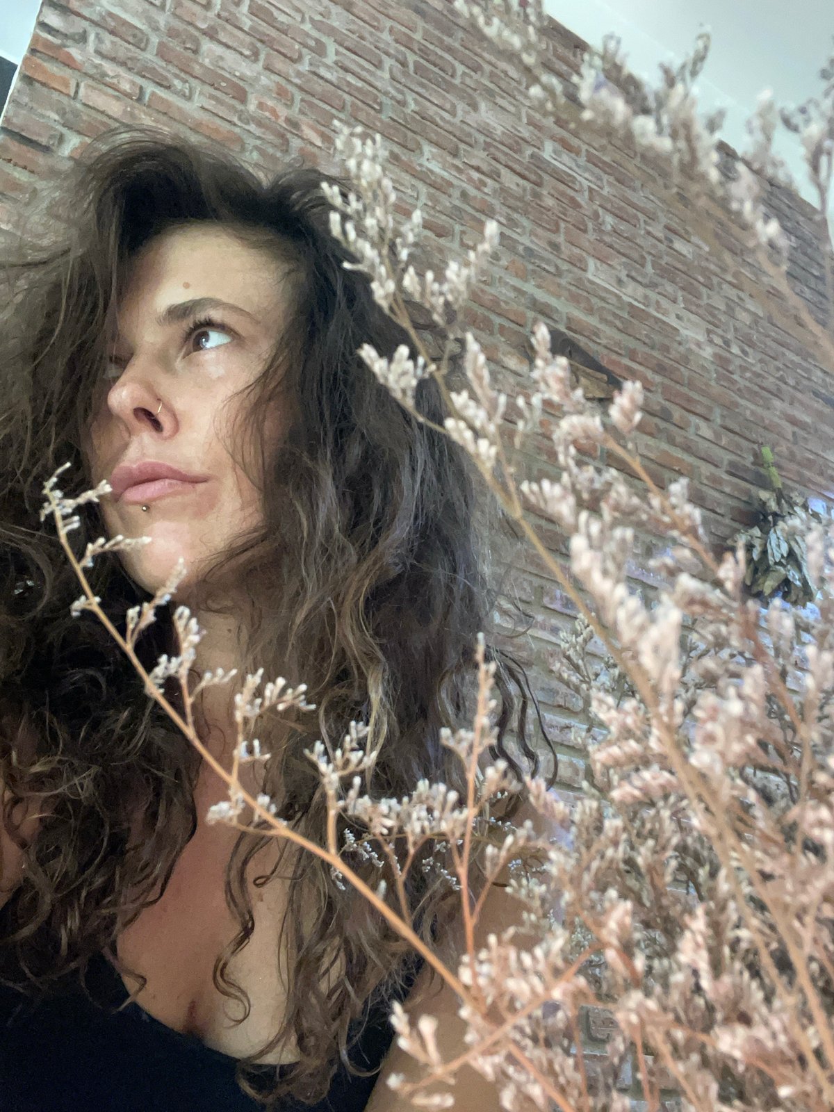 Art, tarot, and quiet creative details in one sitting