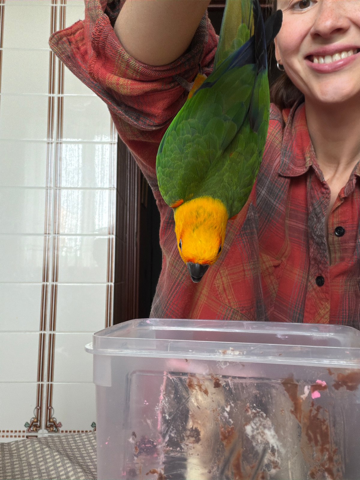 Mall visit and home moments with a parrot in Khimki