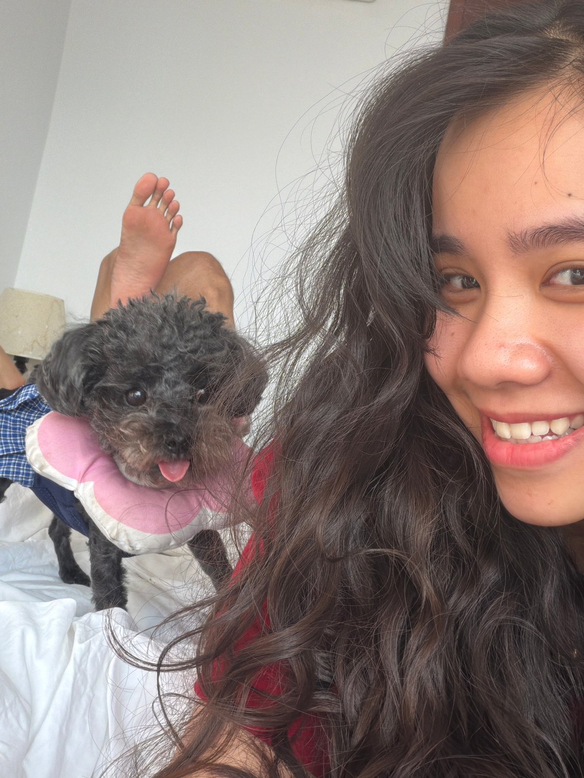 Woman and dressed dog photographed together on bed in Vietnam