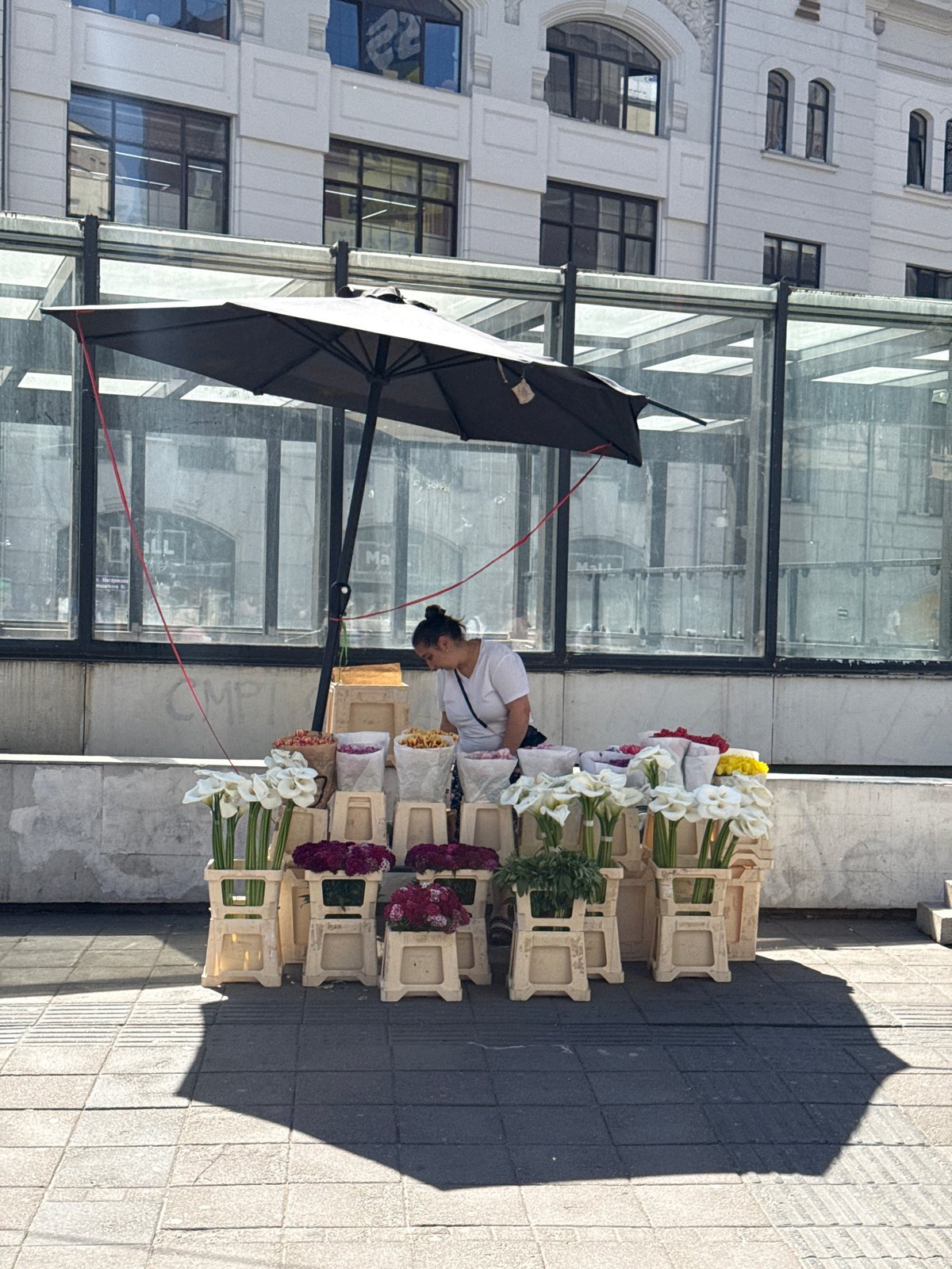 Flower vendor operates sidewalk stand in Belgrade's Vracar district
