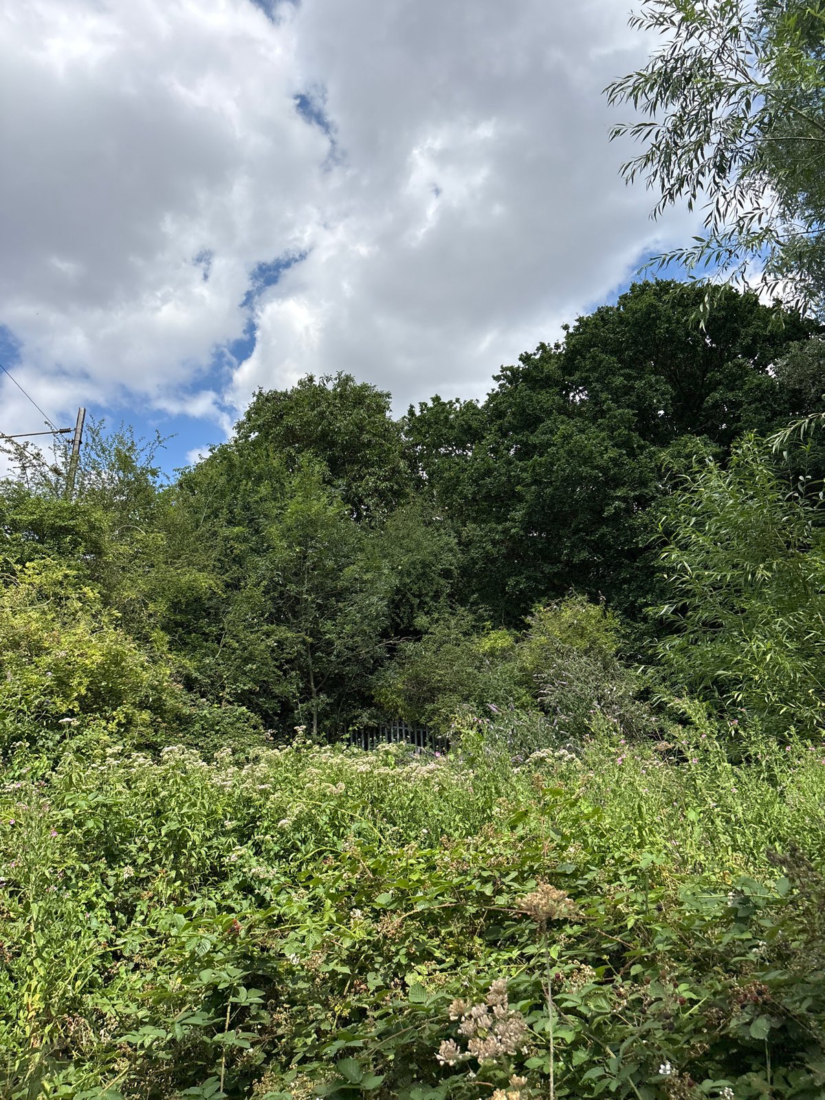 Summer afternoon walk through Chelmsford's green spaces and streets