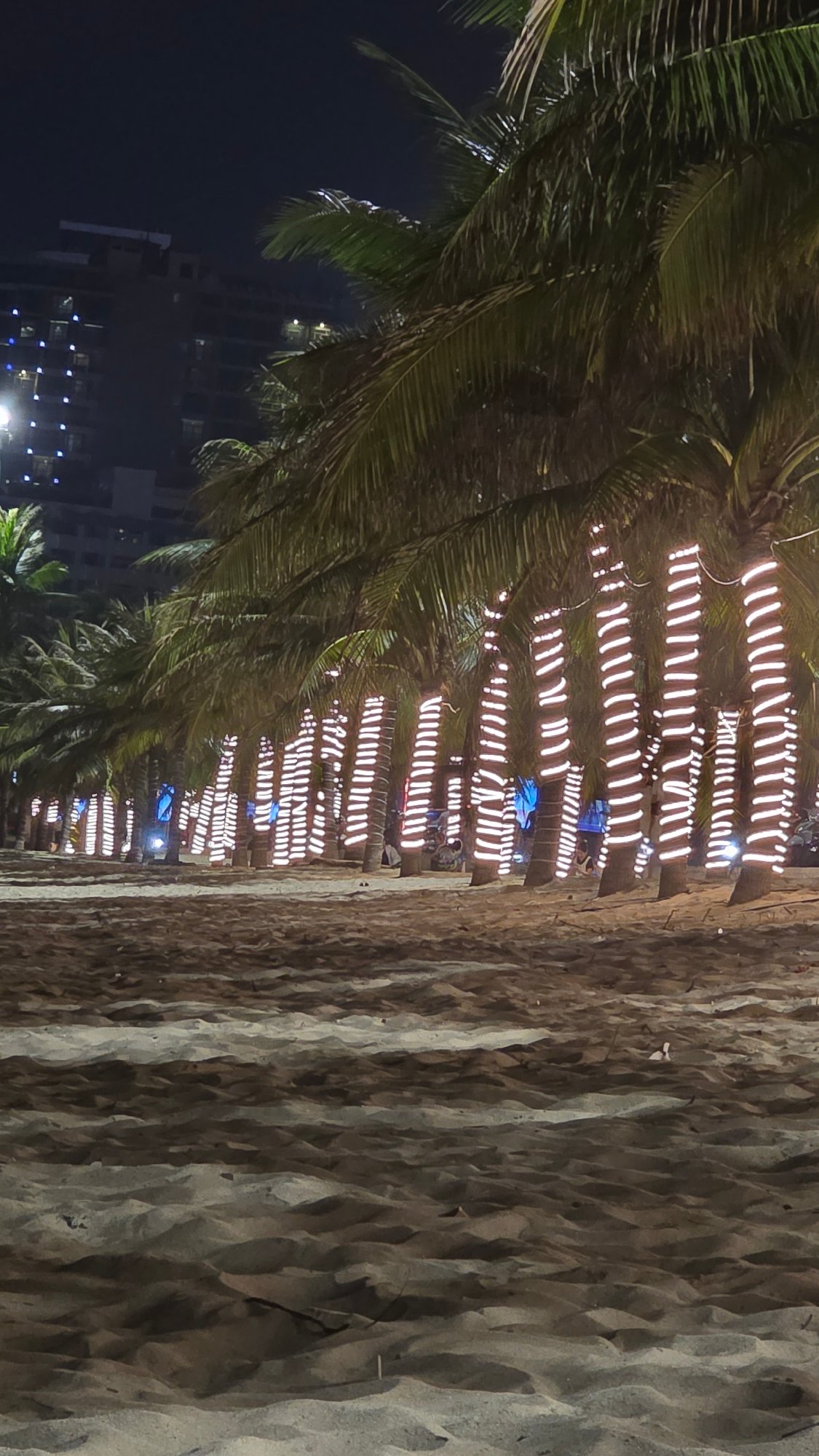 Dogs roam Nha Trang Beach at night