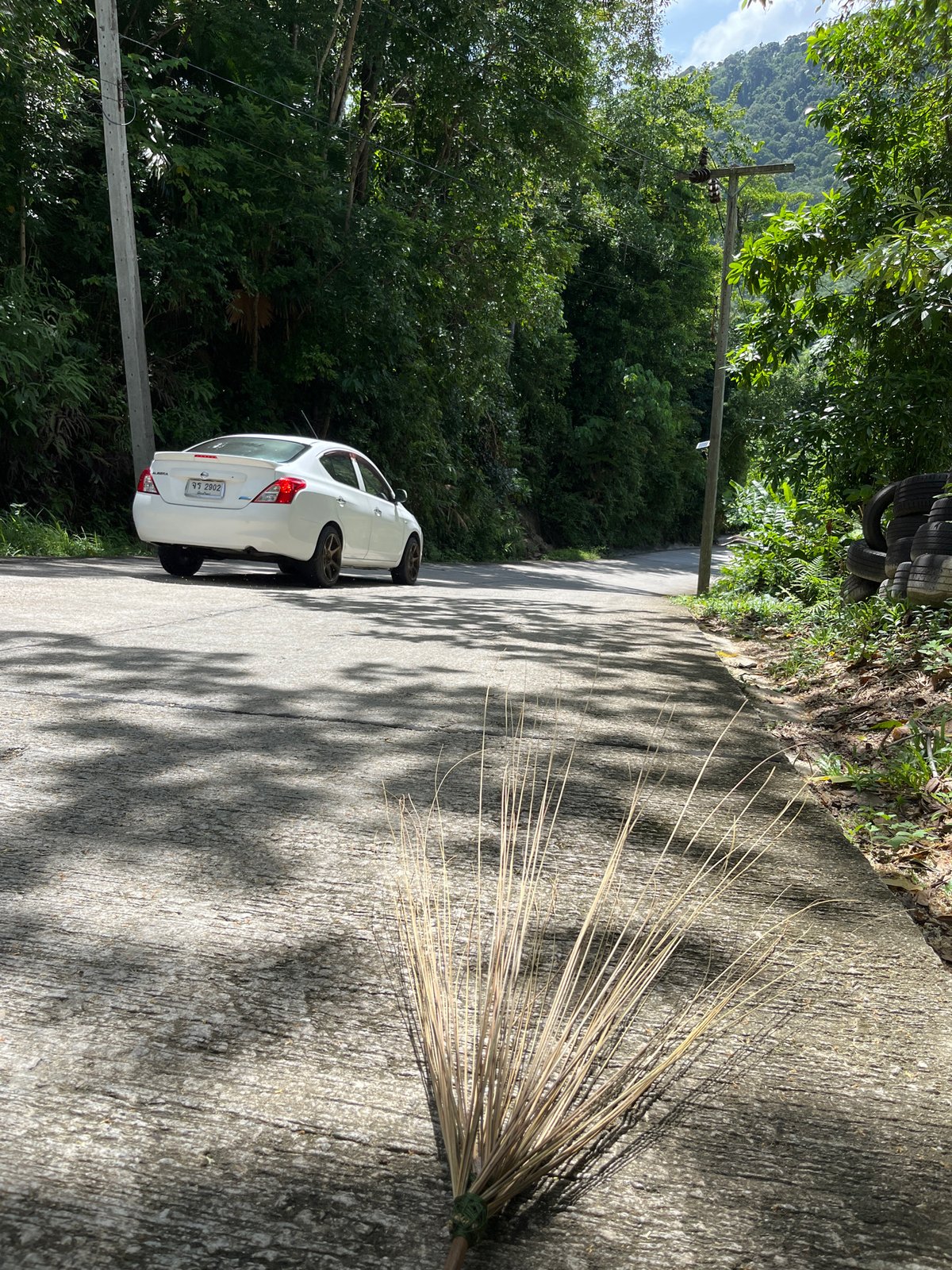 Parked car and lush roadside greenery in Kathu, Thailand
