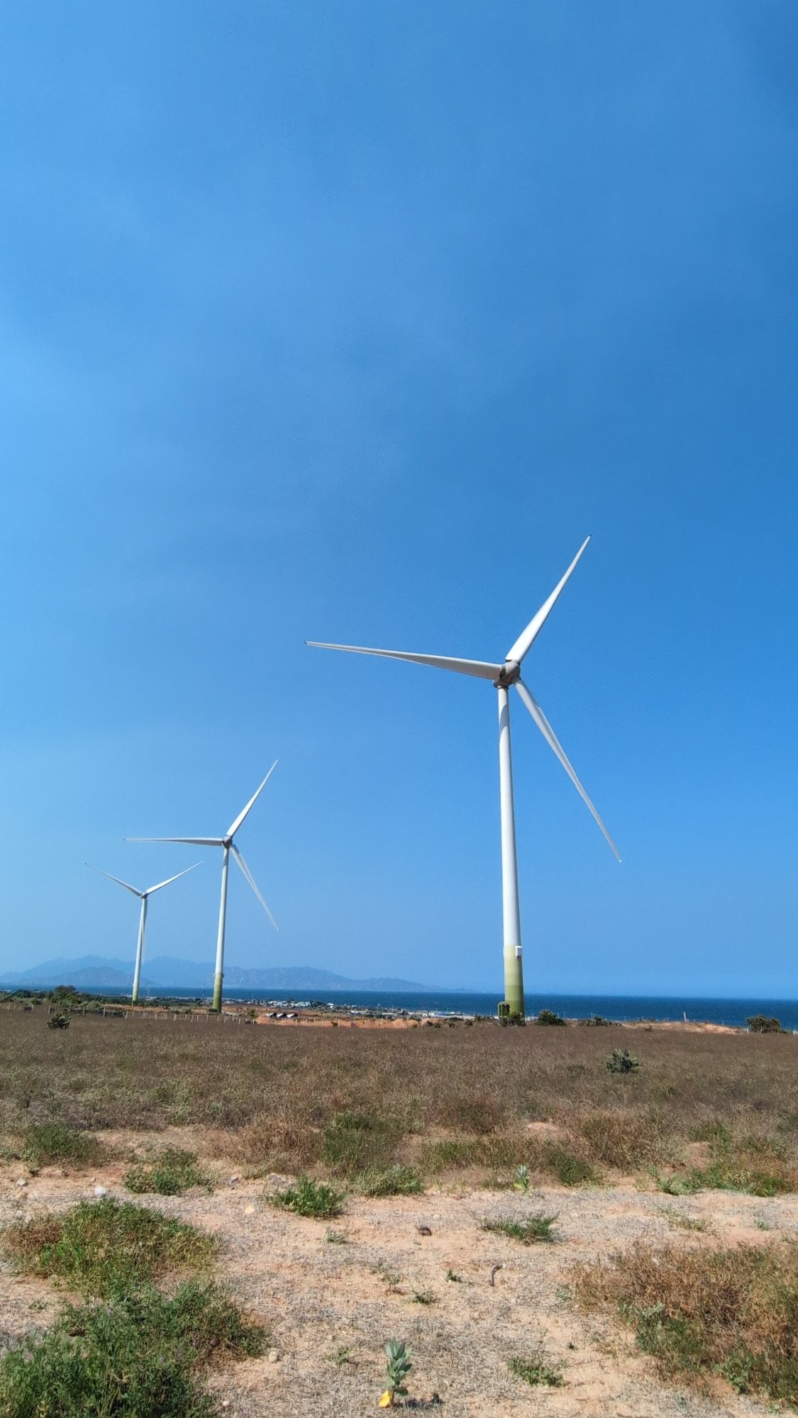 Wind turbines operate in coastal field near Phuoc Dinh