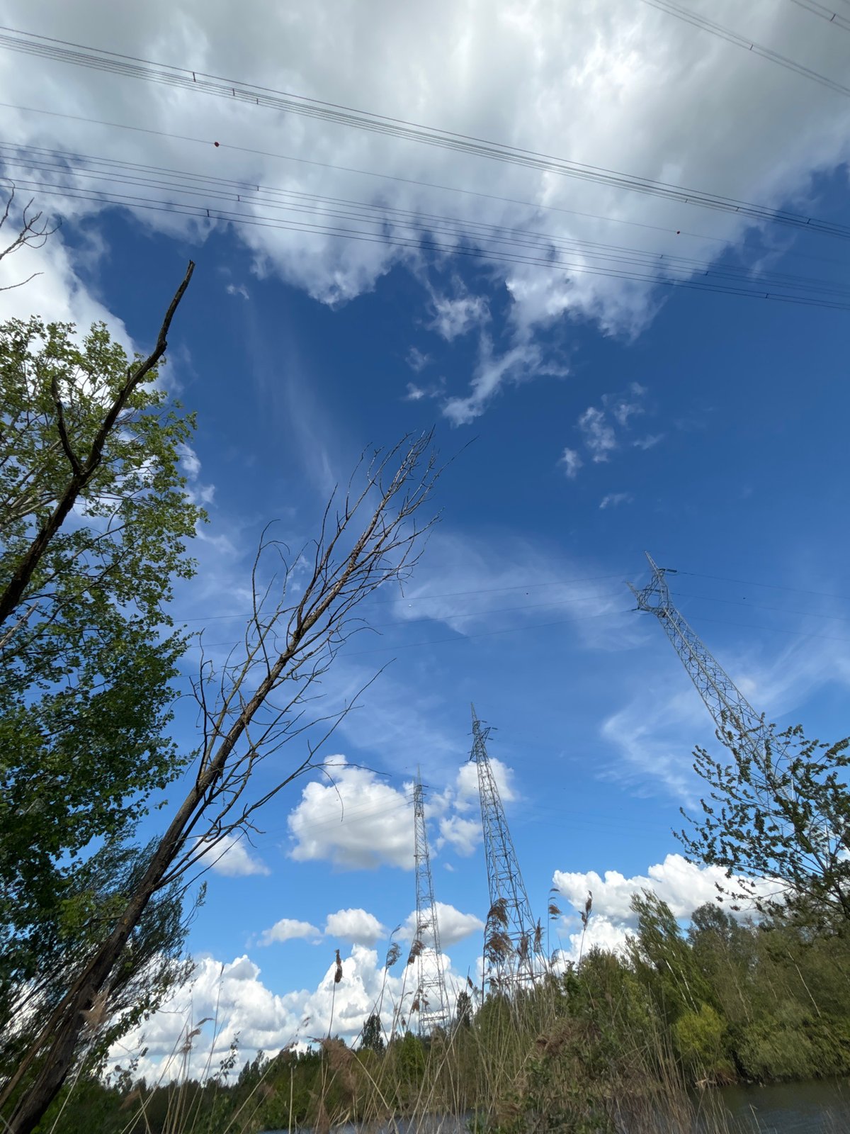 Spring afternoon documented through outdoor scenes in Bazel, Belgium