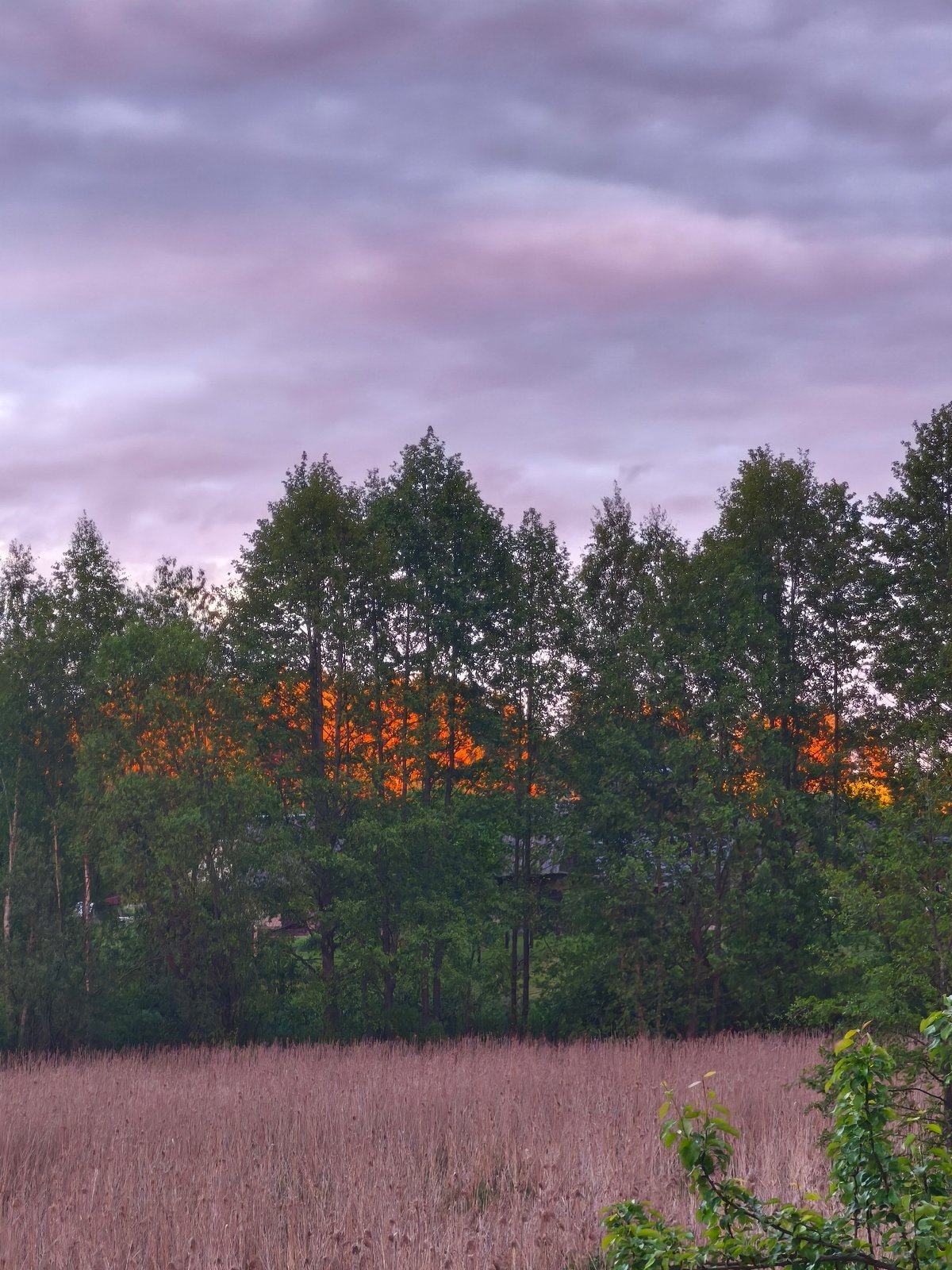 Sunset documented over rural Парэчча, Belarus countryside