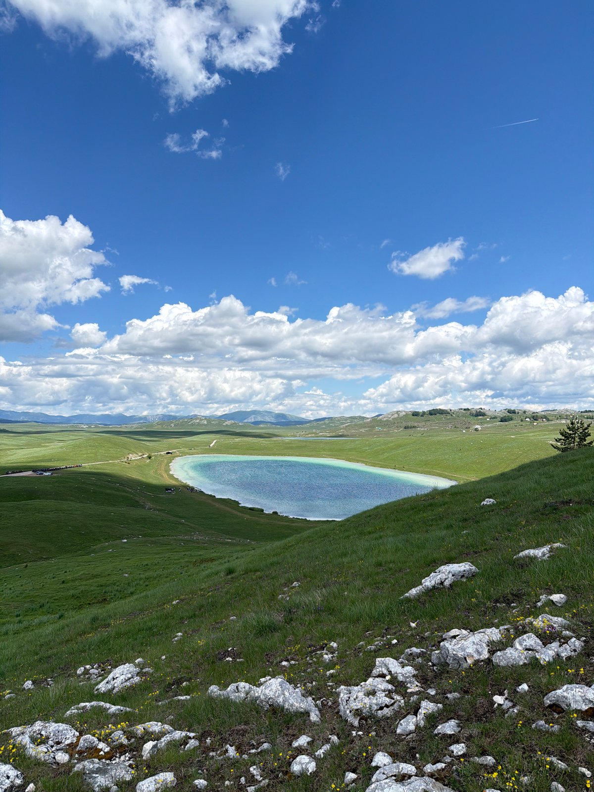 Pastoral morning scenes captured in Novakovići, Montenegro countryside