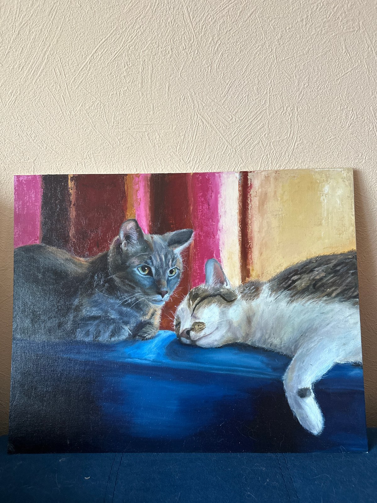 Domestic cats spotted in early morning Krasnoyarsk homes