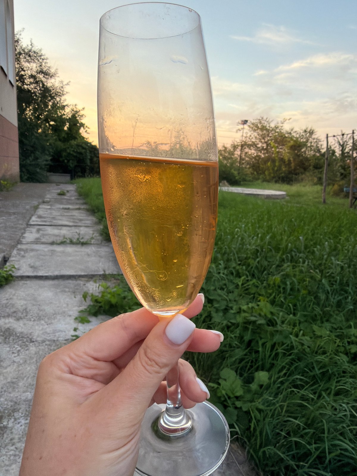 Summer evening cookout in Lozuvatka, Ukraine