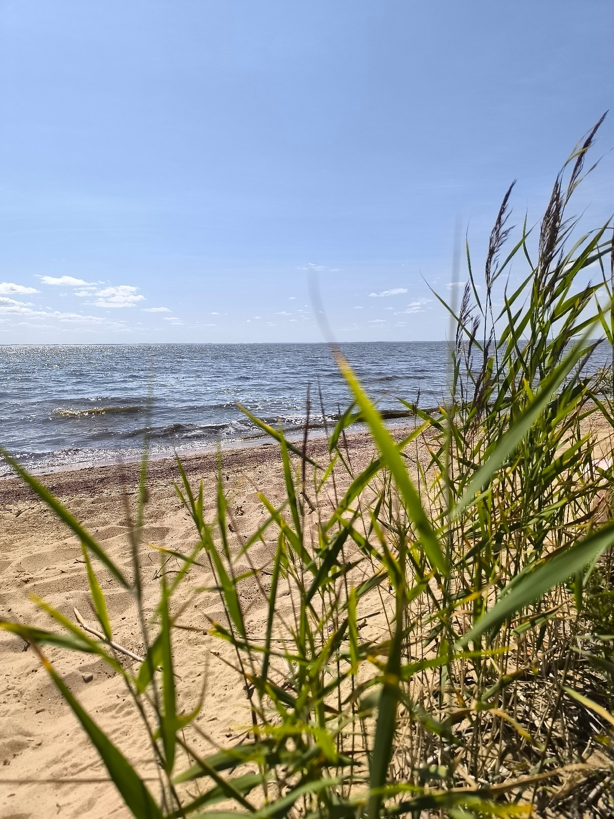 A quiet summer morning on a Russian river beach