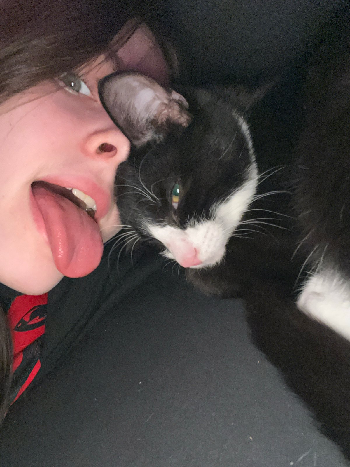 Resident shares casual selfies with cat in Saint Petersburg
