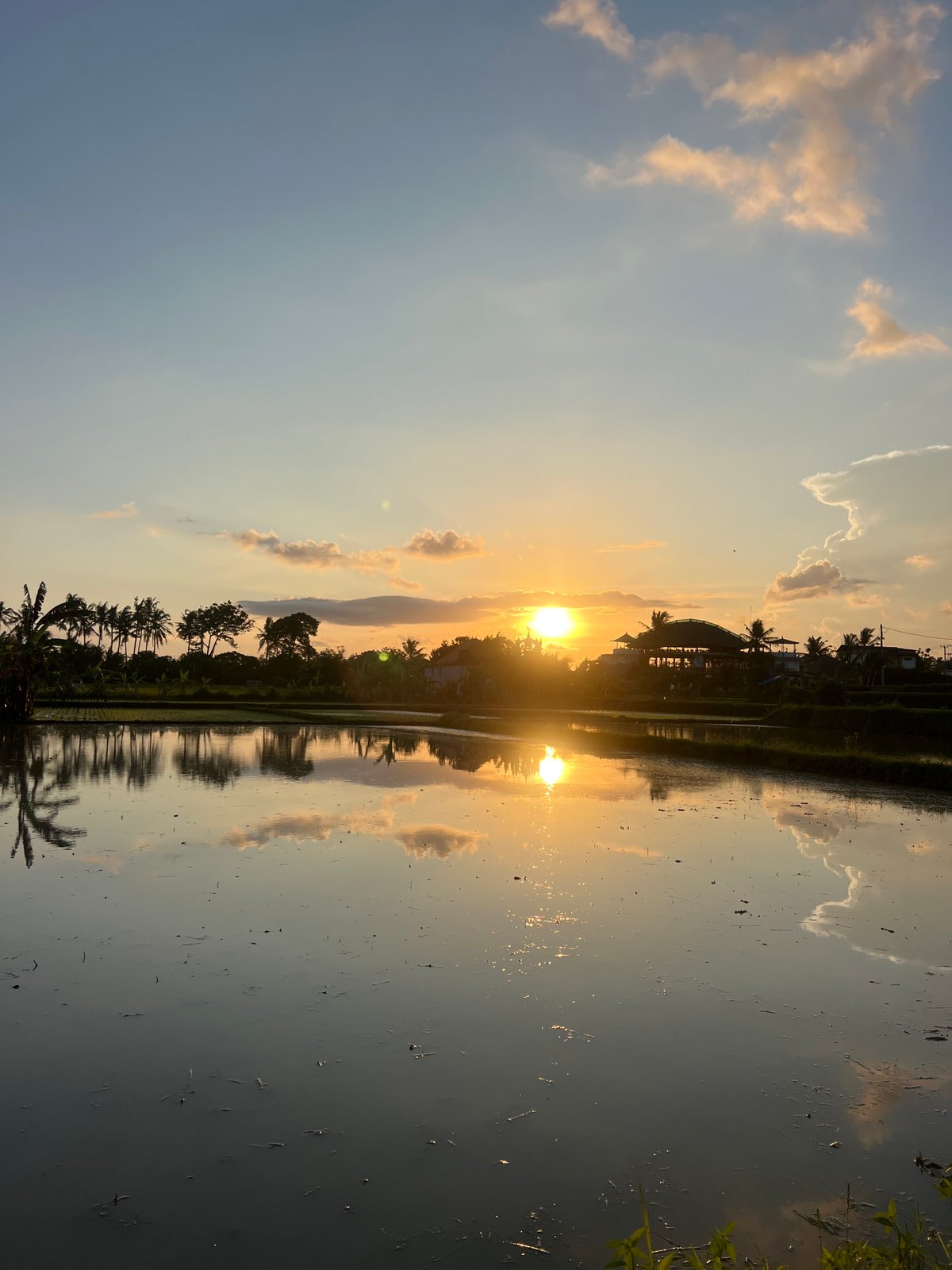 Sunrise captured over rice paddies in Sukawati, Indonesia