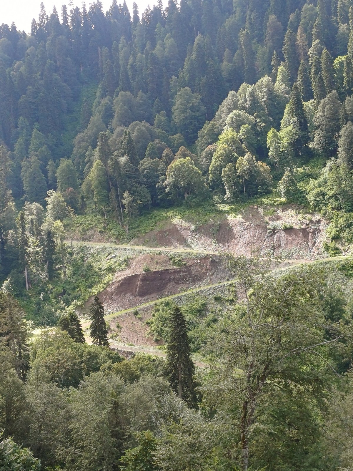 Cable car ride up forested mountain slopes in Estosadok