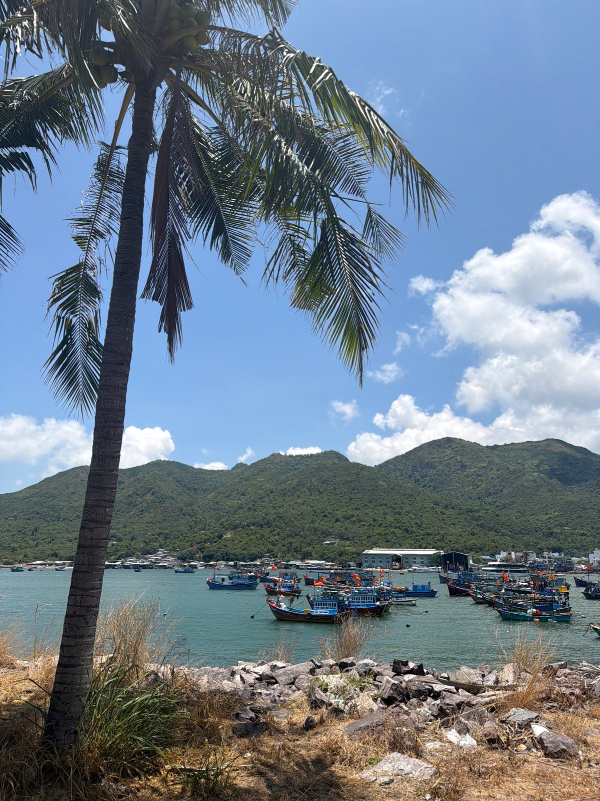 Morning scenes captured in Nam Nha Trang: coastline and tennis court