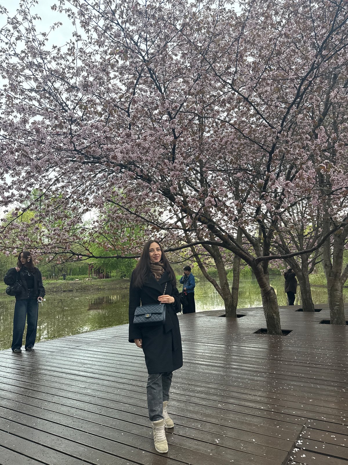 Woman enjoys cherry blossoms and ducks at Saint Petersburg pond