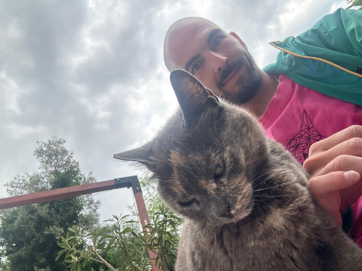 Man bonds with stray cats in Budva Montenegro