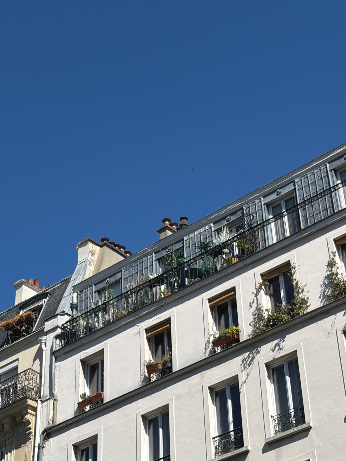 Parisian building facade captured under clear skies