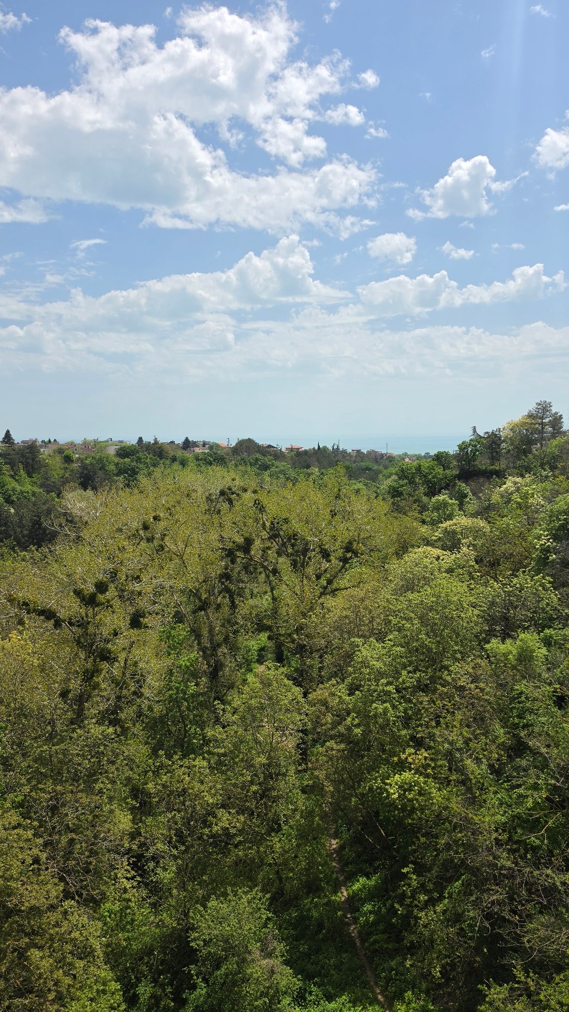 Aerial view captures Varna's green canopy and cityscape