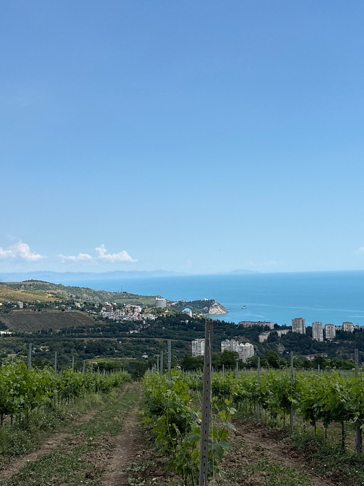 Morning life documented in Partenit: vineyards, breakfast, local foods